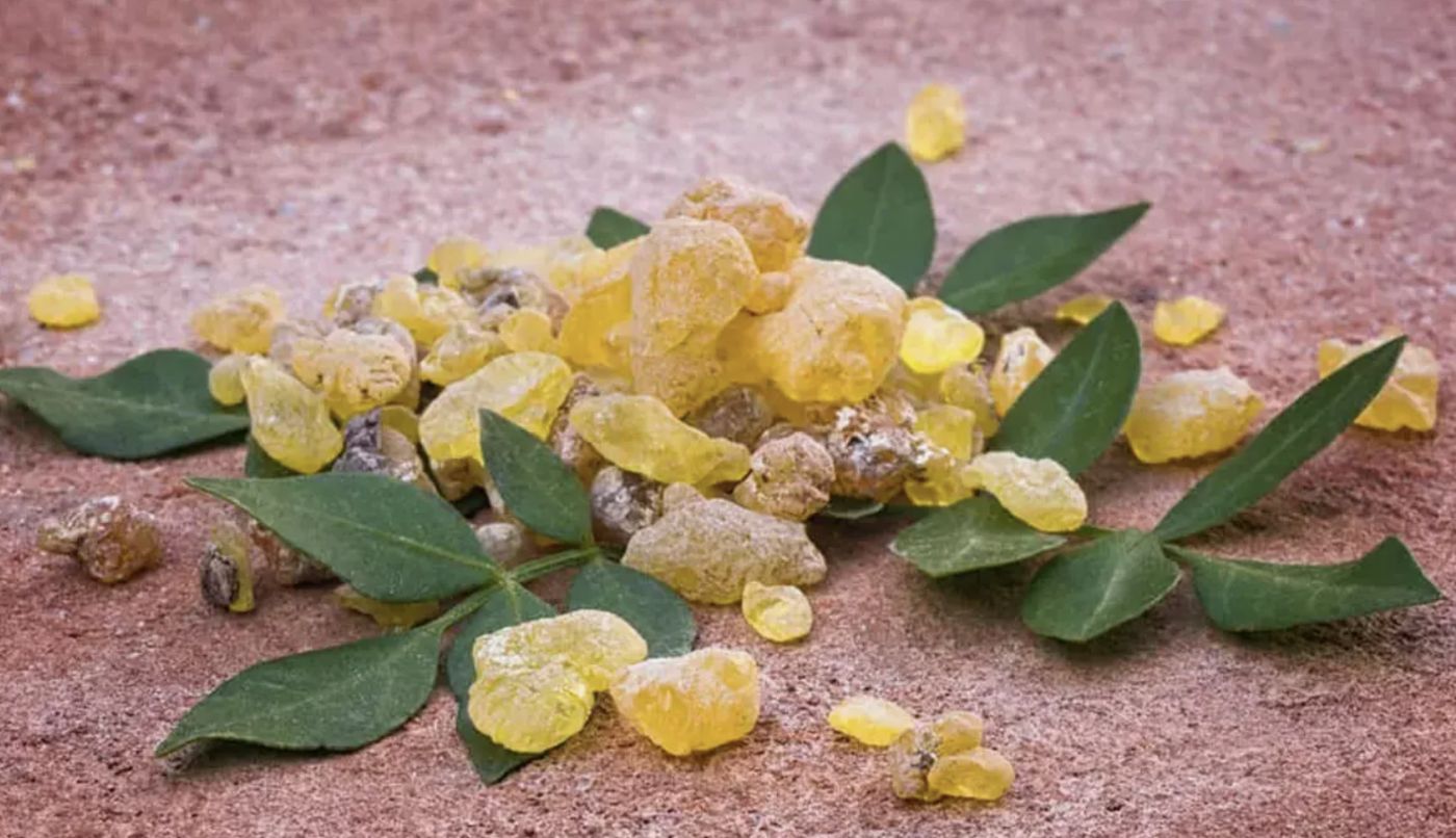 Akgünlük (Boswellia Serrata) Nedir?