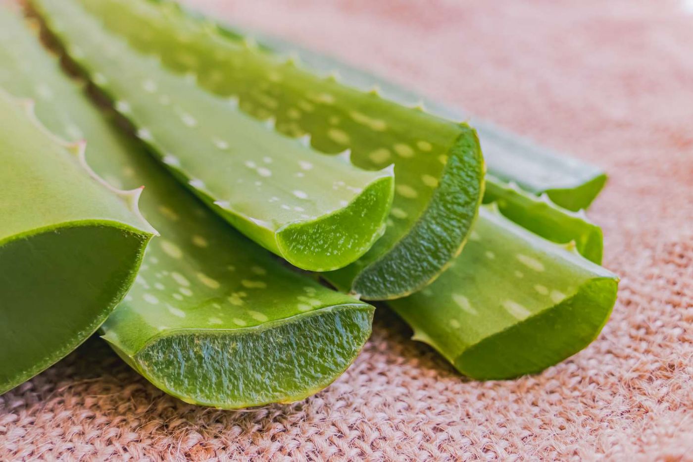 Aloe Vera Nedir? 