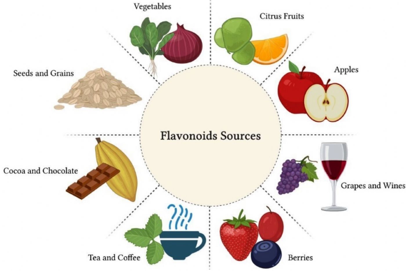 Flavonoidler Nedir? 