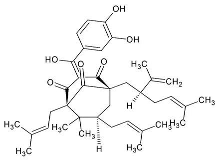 Garcinol (Garcinia Cambogia) Nedir? 