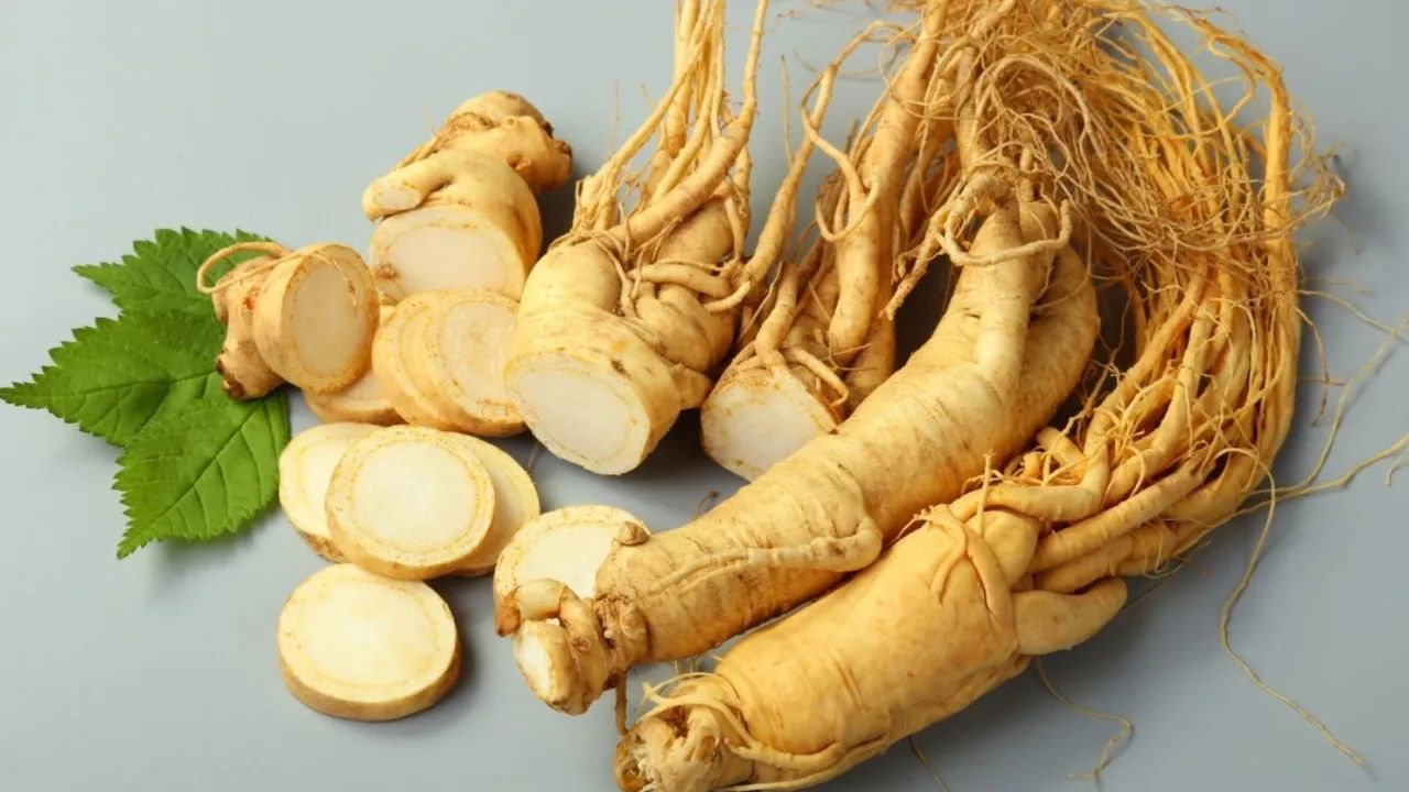 Ginseng: Kanser Tedavisinde Bir Destek mi, Yoksa Bir Risk mi?