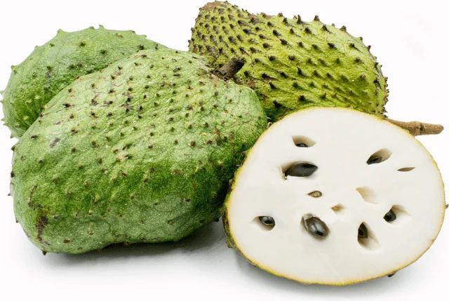 Graviola (Annona Muricata) Nedir?