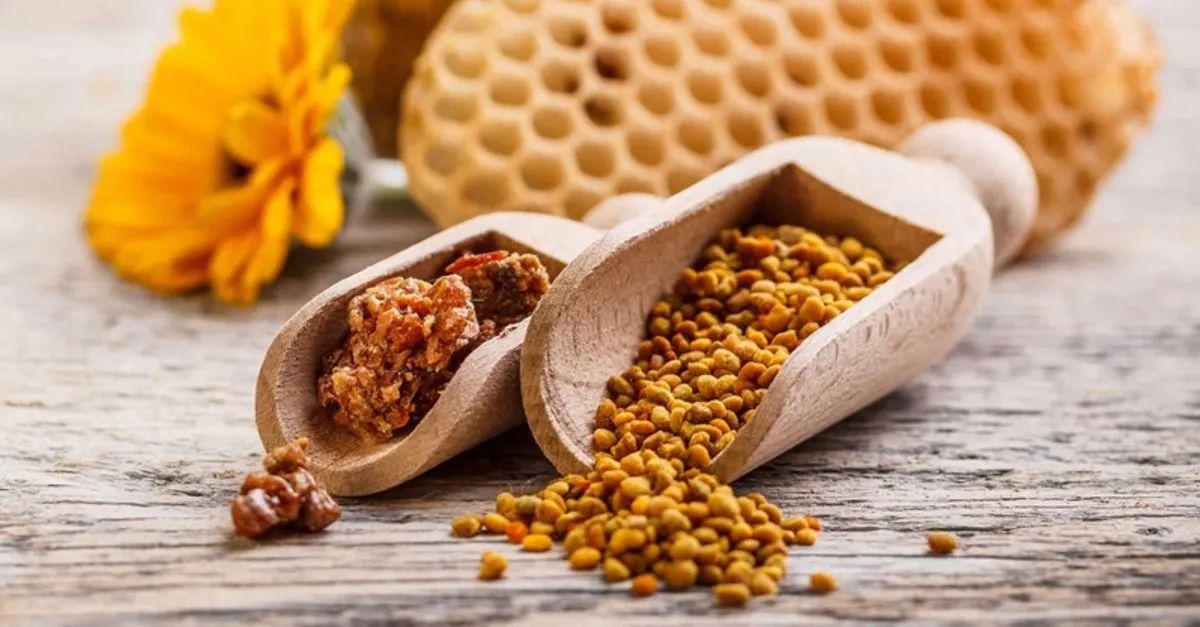 Propolis Nedir? 