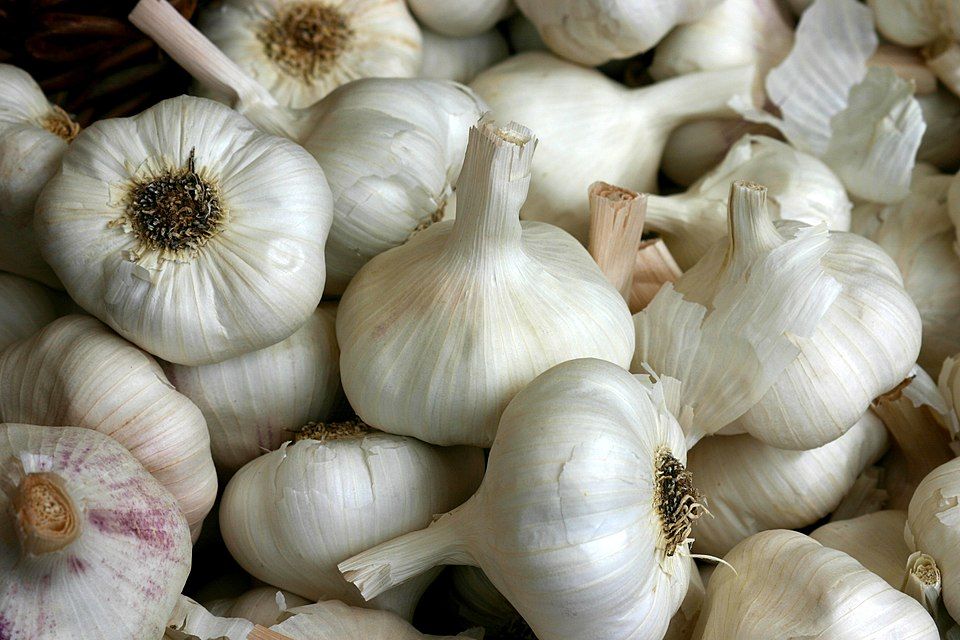 Sarımsak (Allium Sativum) Nedir?