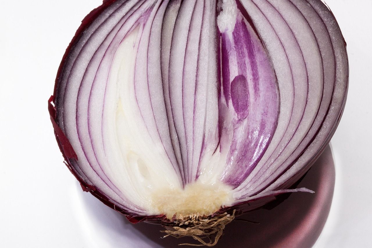 Soğan (Allium Cepa) Nedir?