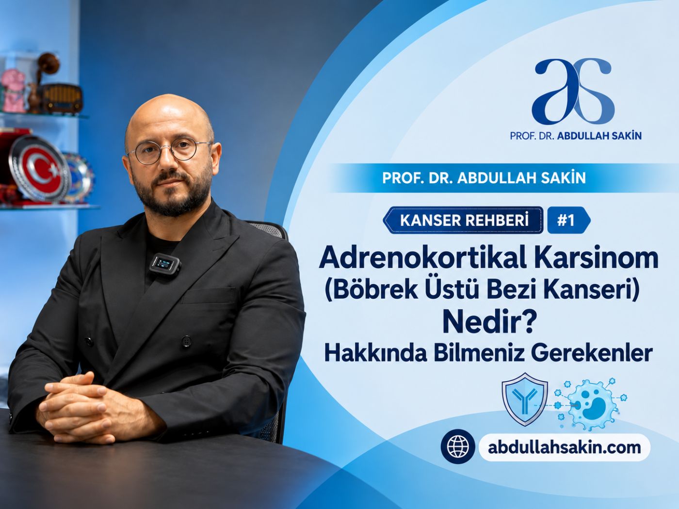 Kanser Rehberi #1: Adrenokortikal Karsinom (Böbrek Üstü Bezi Kanseri) Nedir? Hakkında Bilmeniz Gerekenler.