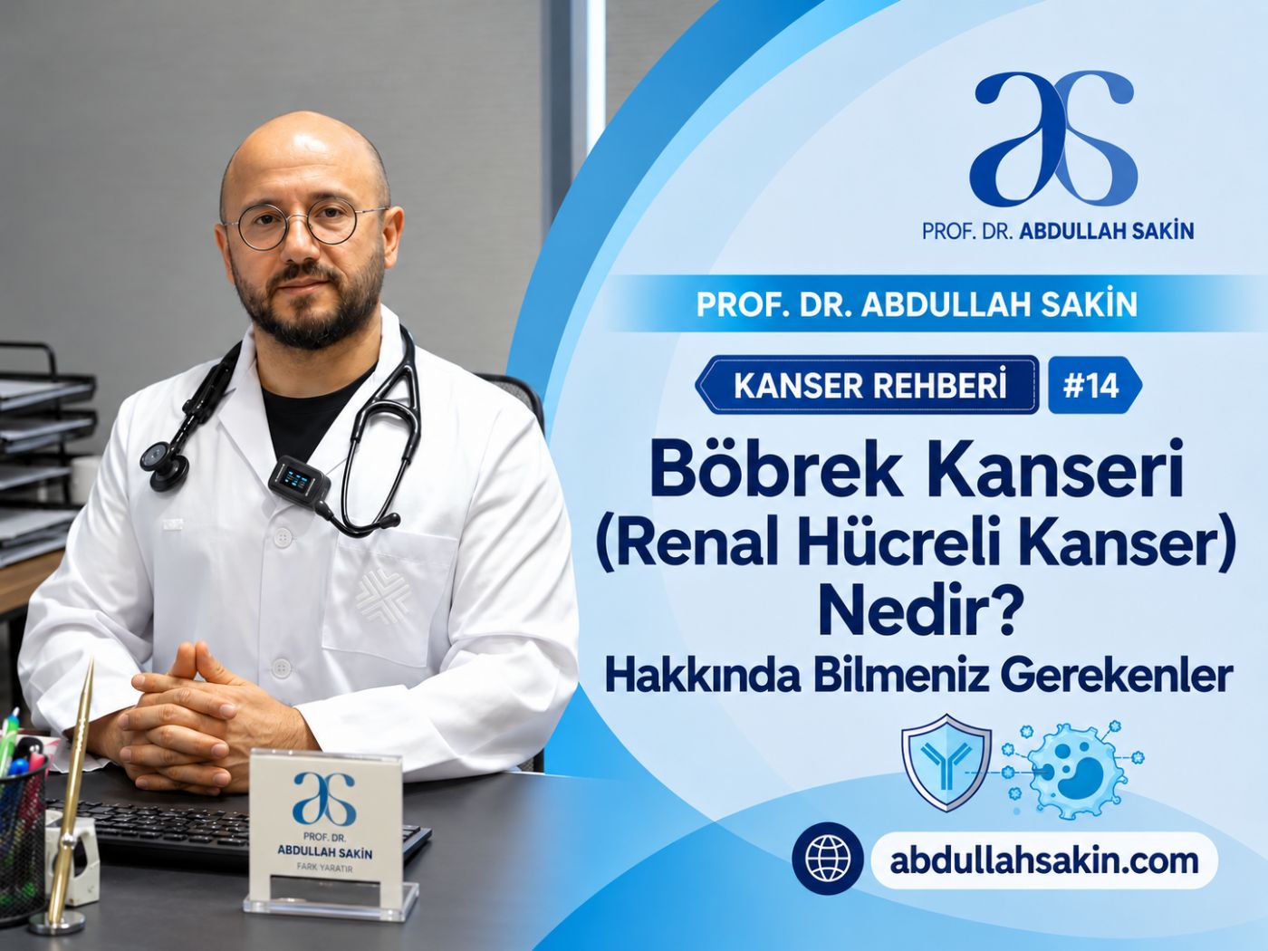 Kanser Rehberi #14: Böbrek Kanseri (Renal Hücreli Kanser) Nedir? Hakkında Bilmeniz Gerekenler.